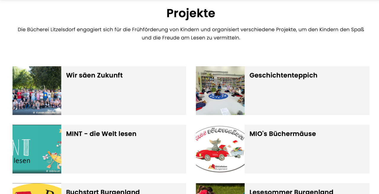 website projekte